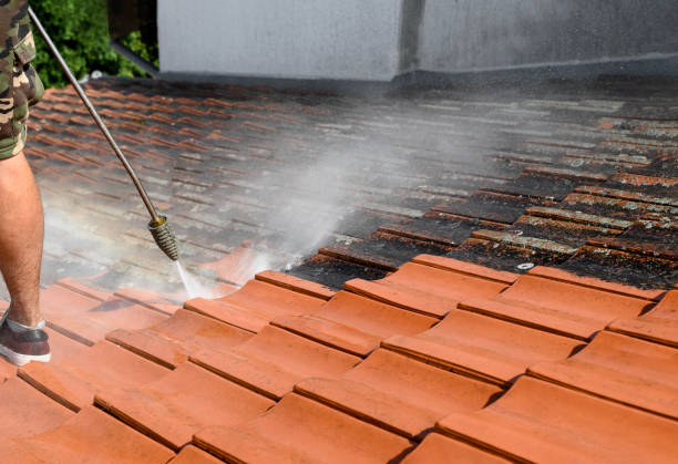 Best Affordable Pressure Washing  in Lockport Heights, IL